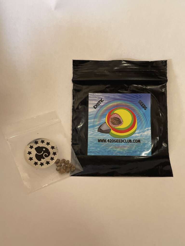 Free Seeds
