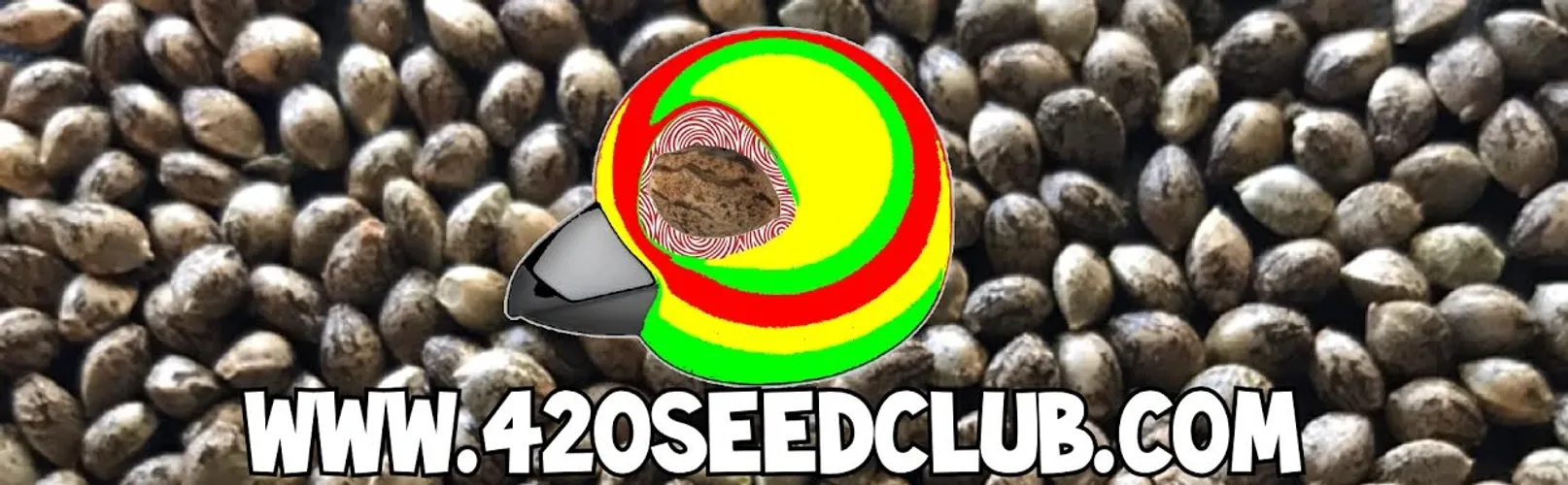 420 Seed Club